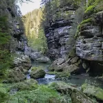Elbjuwel