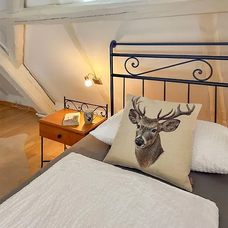 Elbjuwel Appartement Rathen